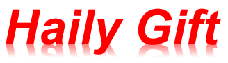 hailygift.com